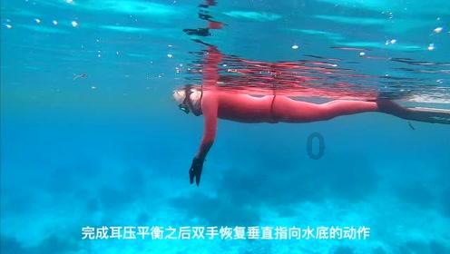 逃离金刚鹦鹉森林